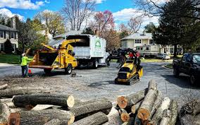 Best Storm Damage Tree Cleanup  in Hagerstown, IN